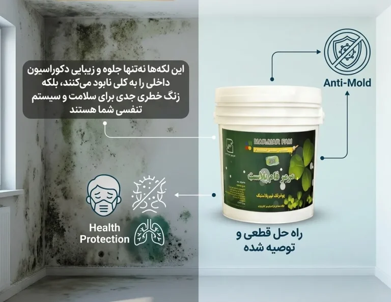 راهنمای جامع و قطعی برای رهایی از قارچ‌های خانگی با رنگ ضد کپک