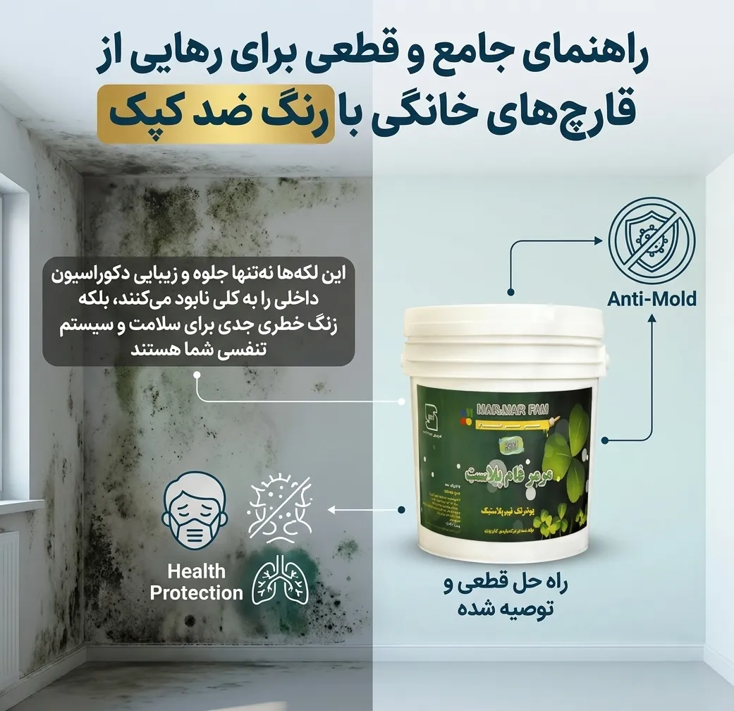 رنگ ضد کپک چیست؟