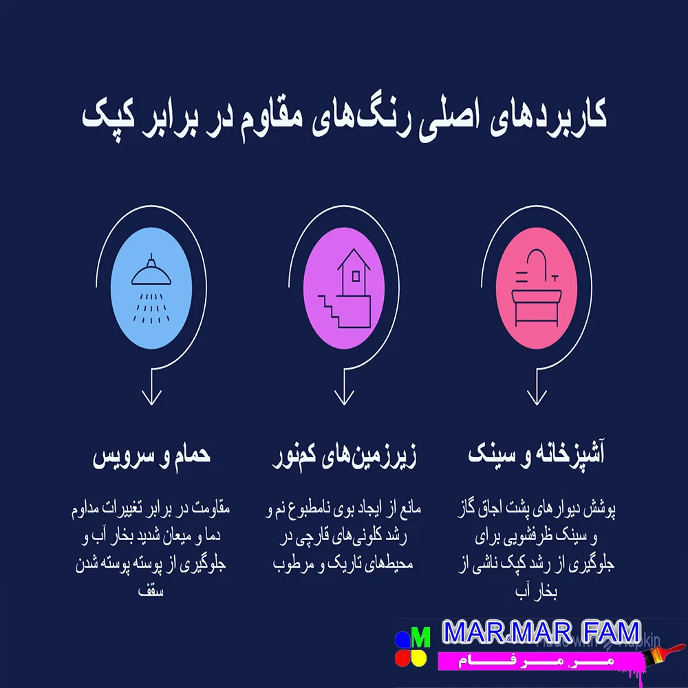 کاربردهای اصلی رنگهای مقاوم در برابر کپک